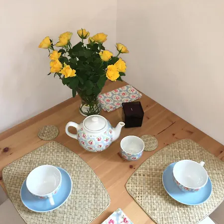 Modern In Centre Of +free Parking * 克拉科夫